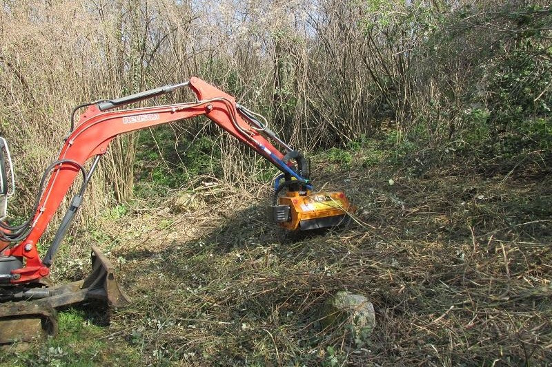 Bozótirtó bérlés 2,5–5 tonnás minikotróra